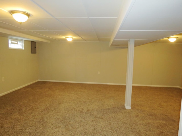 basement featuring carpet floors