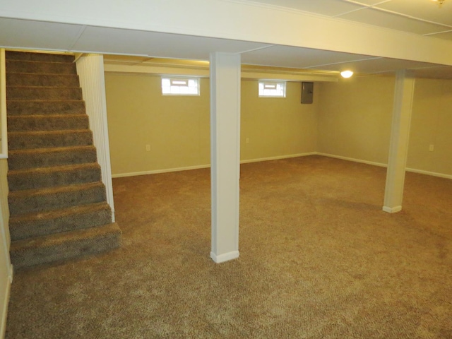 basement featuring electric panel and carpet