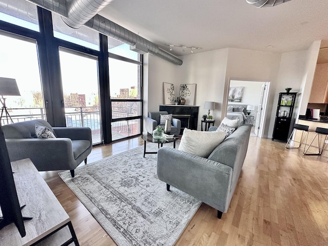 living room with rail lighting, a wall of windows, light hardwood / wood-style floors, and a healthy amount of sunlight