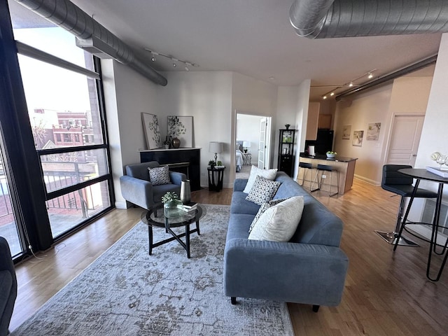 living room featuring rail lighting and wood-type flooring