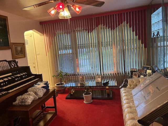 miscellaneous room featuring carpet flooring, ceiling fan, and a healthy amount of sunlight