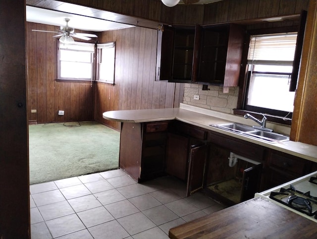 kitchen with light carpet, ceiling fan, wooden walls, and sink