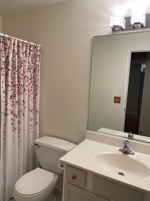 bathroom with vanity and toilet