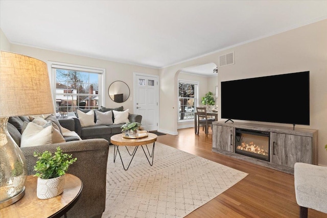 living room featuring wood-type flooring and ornamental molding