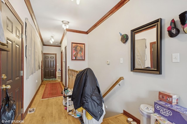 hallway with light hardwood / wood-style floors and crown molding