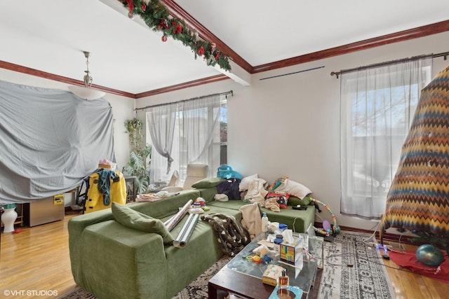 interior space featuring crown molding and hardwood / wood-style flooring