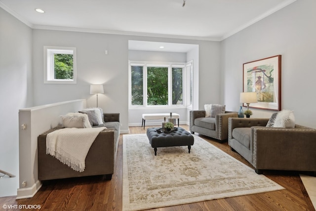 living room featuring crown molding and dark hardwood / wood-style floors