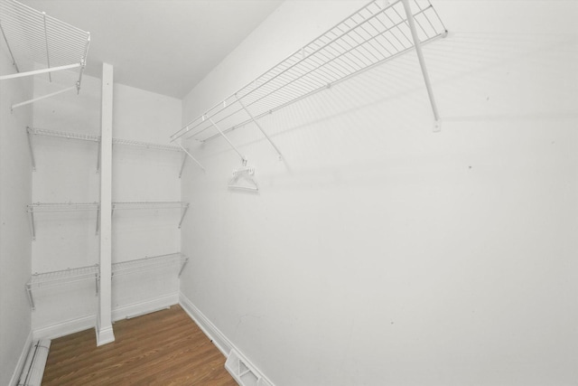 spacious closet with wood-type flooring