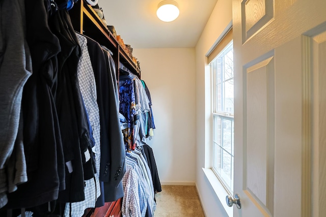 walk in closet with carpet