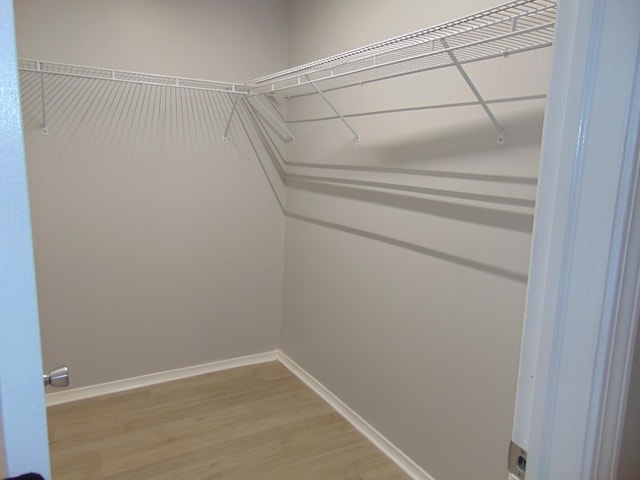 walk in closet featuring wood-type flooring