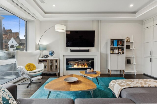 living room with dark hardwood / wood-style flooring and a raised ceiling