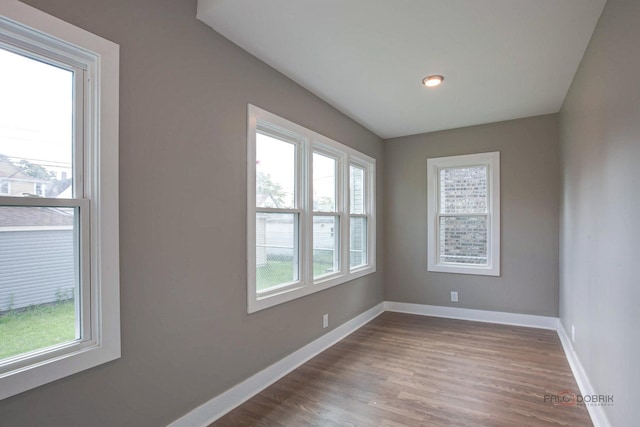 unfurnished room with hardwood / wood-style floors and a wealth of natural light