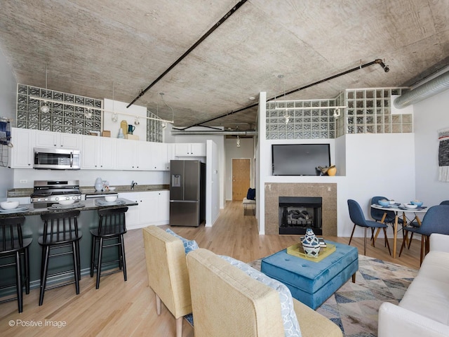 living room featuring light hardwood / wood-style floors and a tiled fireplace