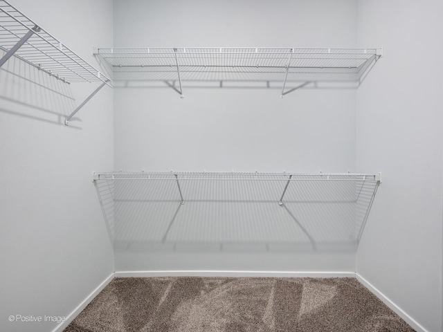 walk in closet with carpet