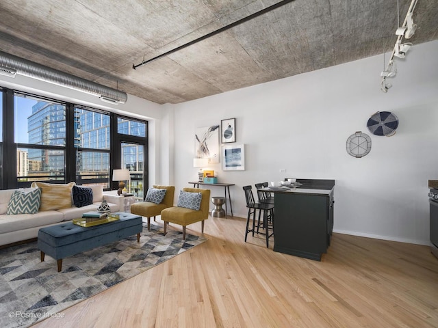 living room with rail lighting and light wood-type flooring