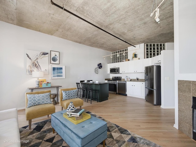 living room featuring light hardwood / wood-style floors