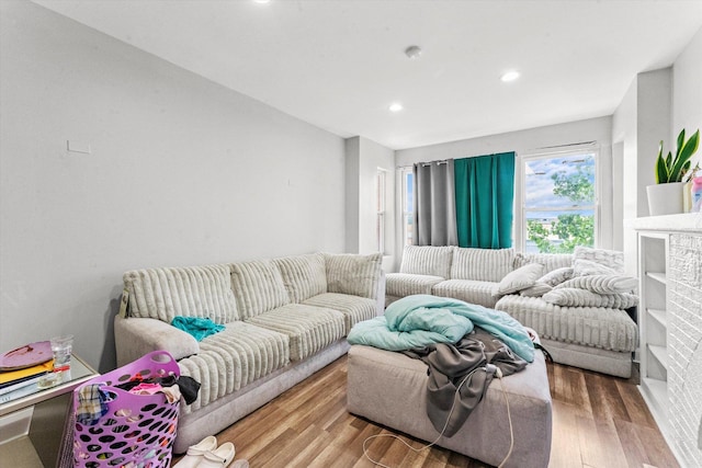 living room featuring hardwood / wood-style floors