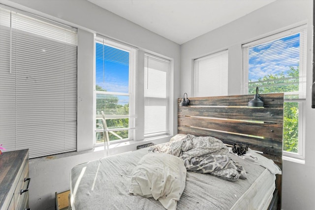 bedroom featuring multiple windows