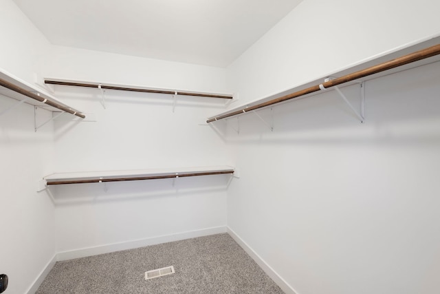 spacious closet with carpet