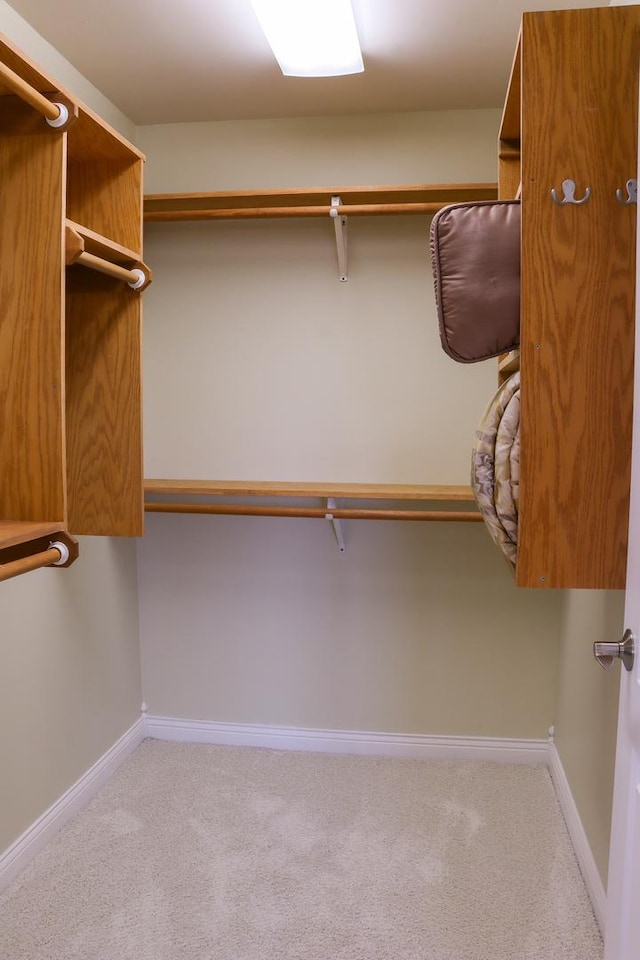 spacious closet featuring light colored carpet