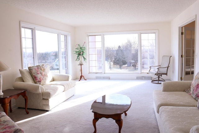 living room with carpet floors and a textured ceiling