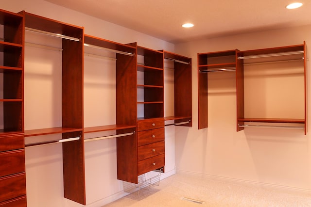 spacious closet with light carpet