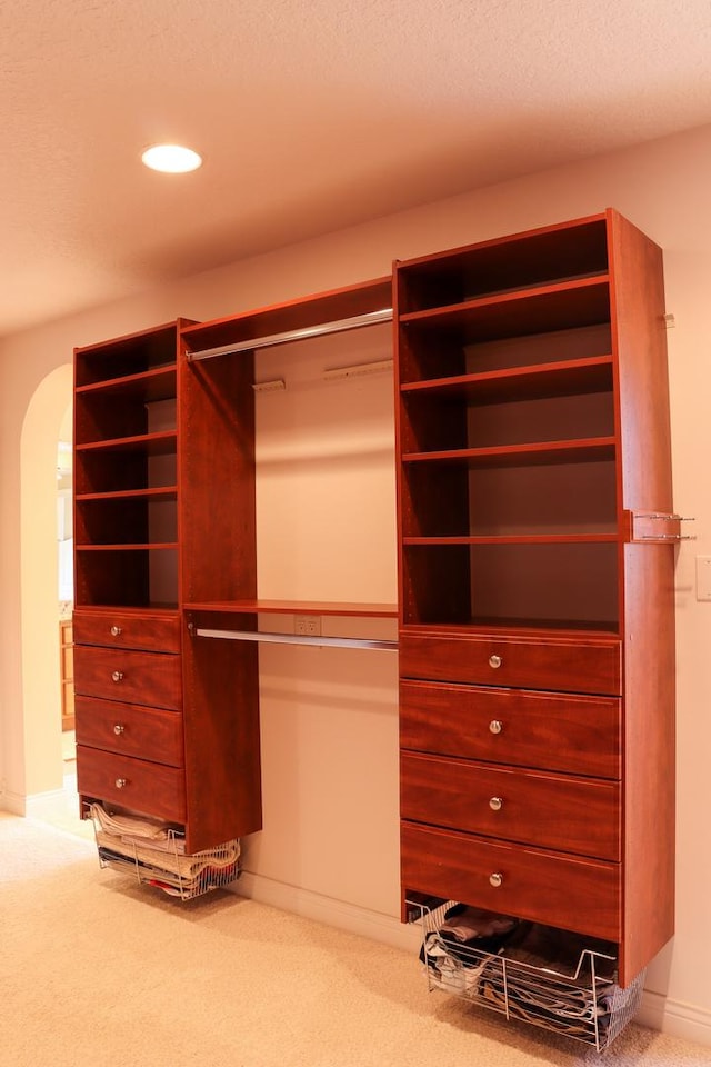 spacious closet featuring carpet