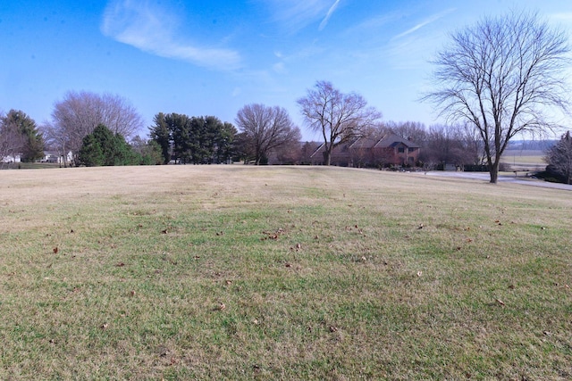 view of yard featuring a rural view