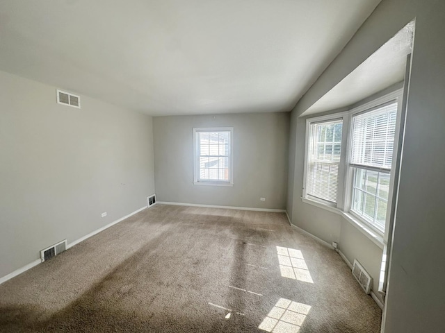 unfurnished room featuring carpet flooring and a wealth of natural light