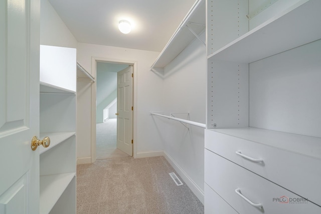 spacious closet with light colored carpet