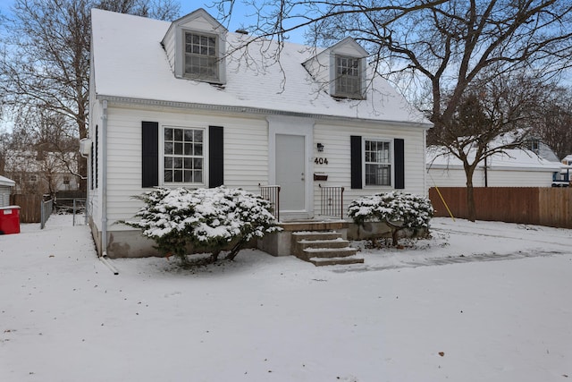 view of cape cod home