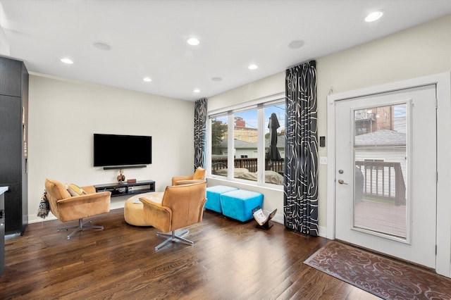 living room featuring dark hardwood / wood-style floors