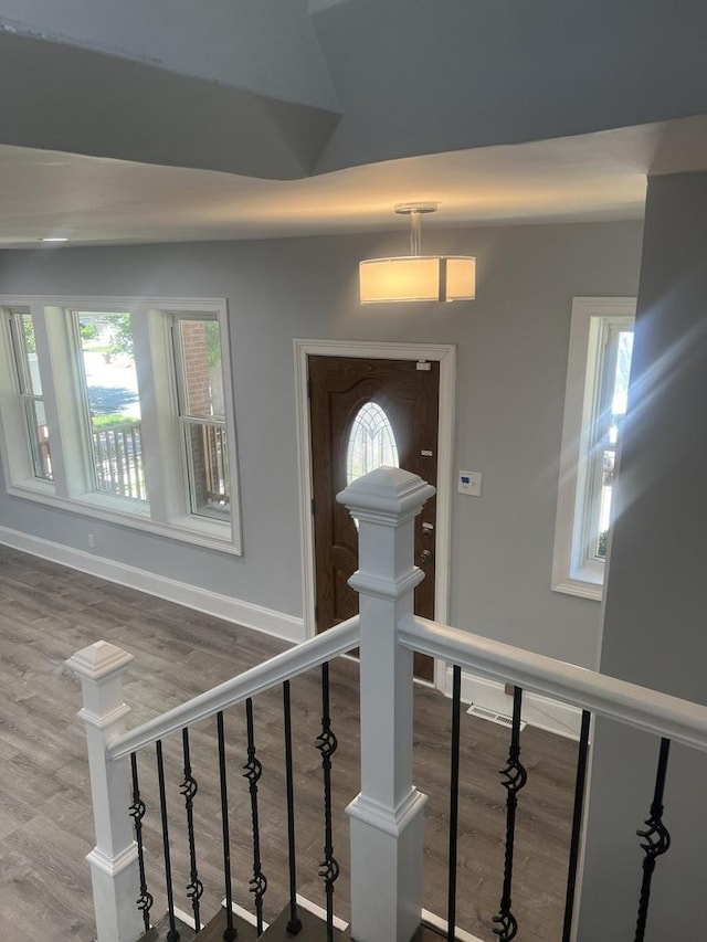 foyer with hardwood / wood-style floors and a healthy amount of sunlight