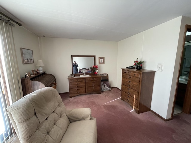 sitting room with carpet flooring