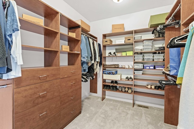 spacious closet with light carpet