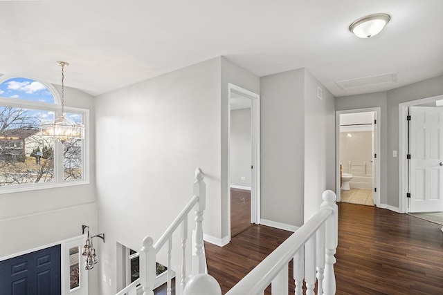 corridor with an inviting chandelier and dark hardwood / wood-style flooring