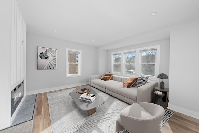 living room featuring light hardwood / wood-style floors