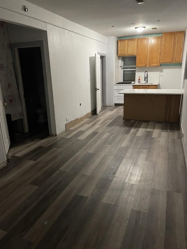 kitchen with kitchen peninsula, dark hardwood / wood-style floors, and sink