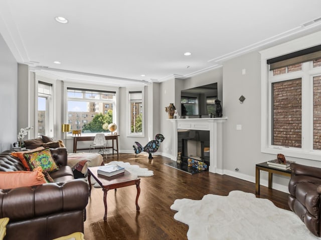 living room with crown molding and dark hardwood / wood-style floors