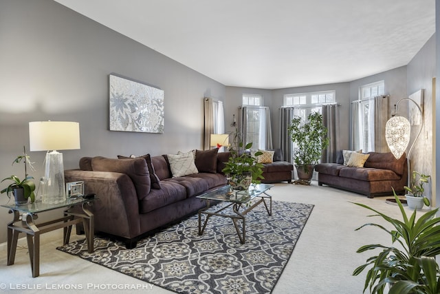 living room with carpet