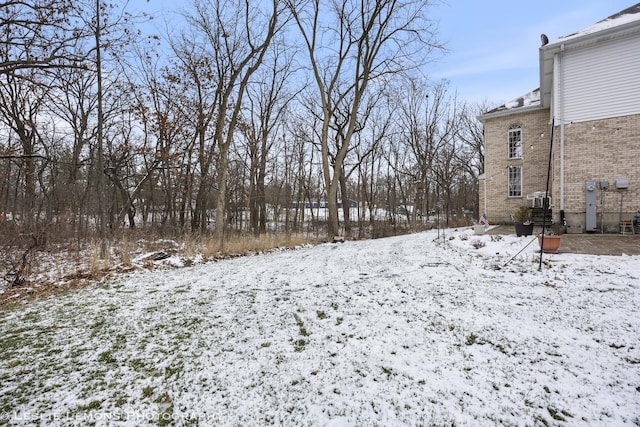 view of yard covered in snow