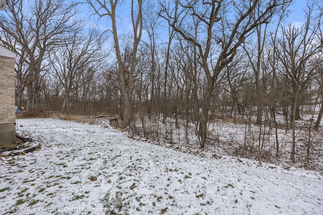 view of yard layered in snow