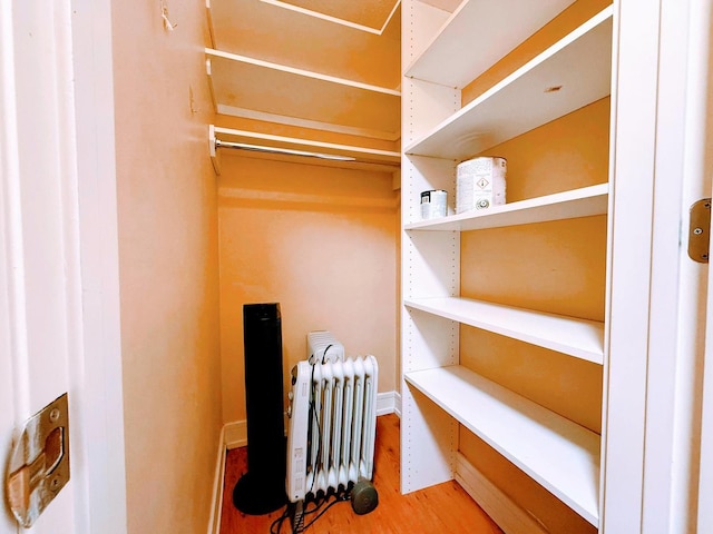 walk in closet featuring wood-type flooring