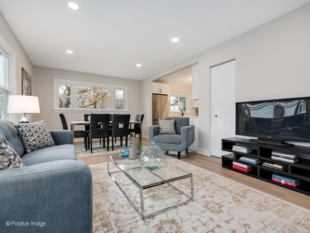 living room with hardwood / wood-style flooring and a healthy amount of sunlight