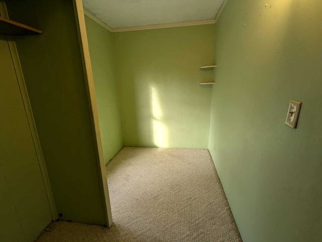 carpeted spare room with ornamental molding