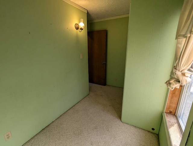 carpeted spare room with crown molding and a textured ceiling