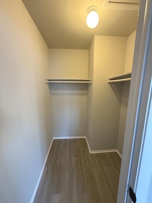 walk in closet with dark hardwood / wood-style floors