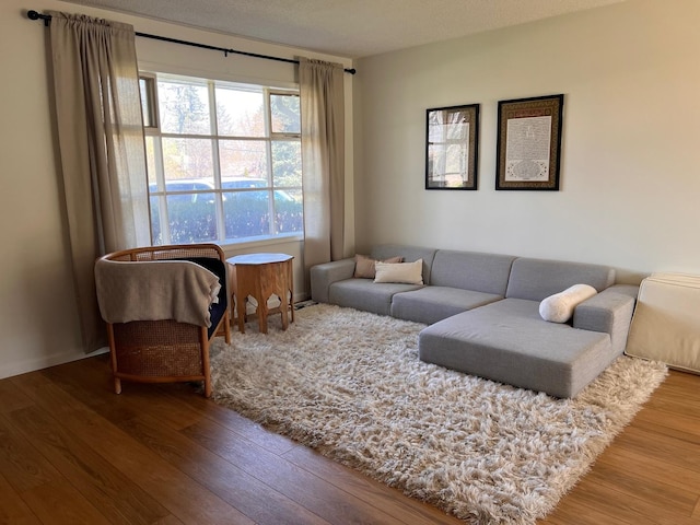 living room with hardwood / wood-style flooring