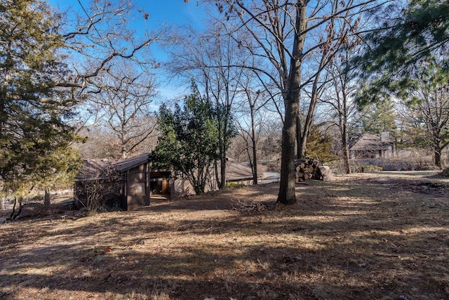 view of yard with a shed