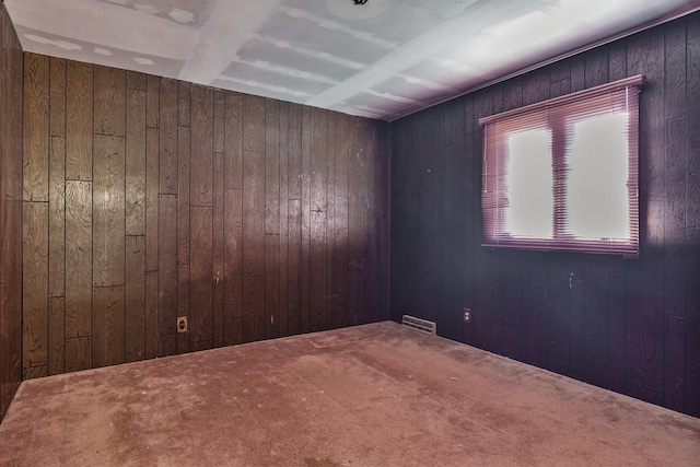 spare room with wood walls and carpet floors